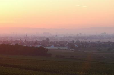 Weisenheim am Sand, morgens um 7.44 Uhr