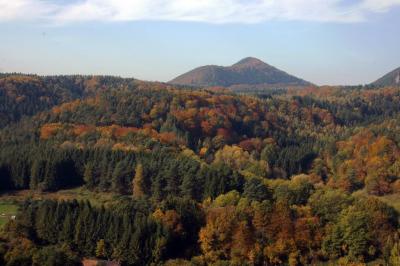 Pfälzerwald im Herbst (2)